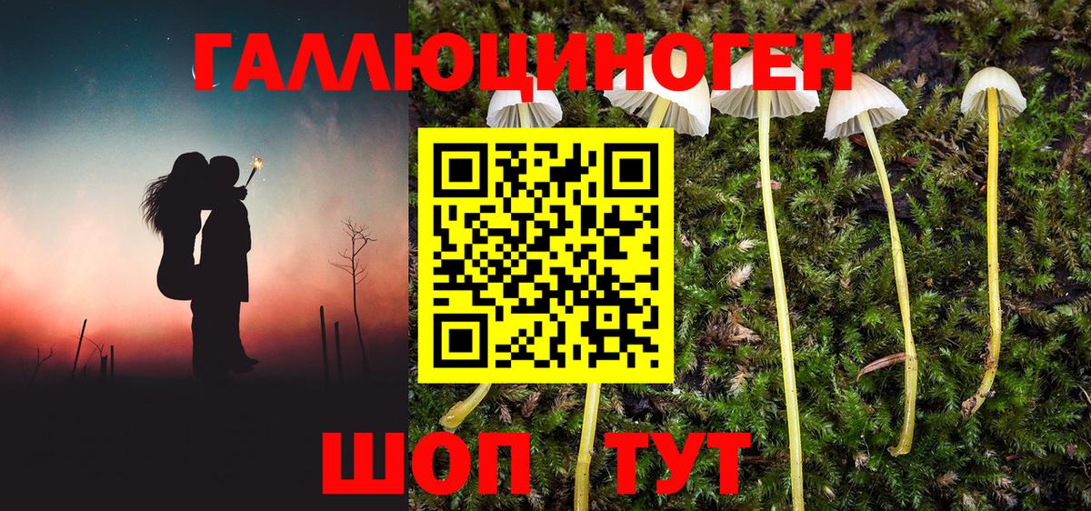 Воркута  Галлюциногенные грибы Psilocybine cubensis  Вход с VPN 